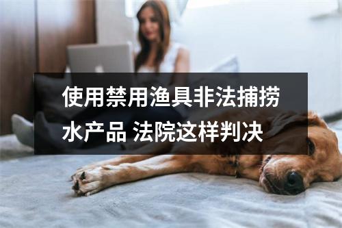 使用禁用渔具非法捕捞水产品 法院这样判决