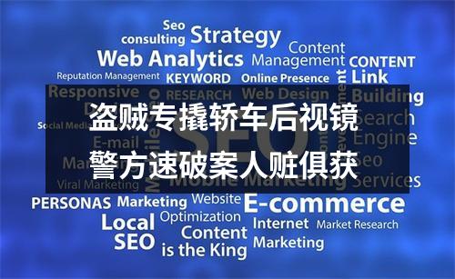 盗贼专撬轿车后视镜 警方速破案人赃俱获