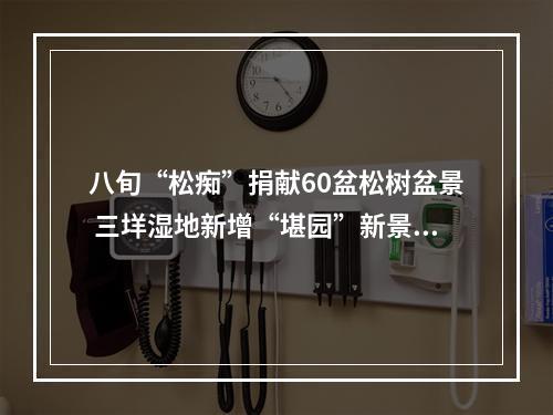 八旬“松痴”捐献60盆松树盆景 三垟湿地新增“堪园”新景点