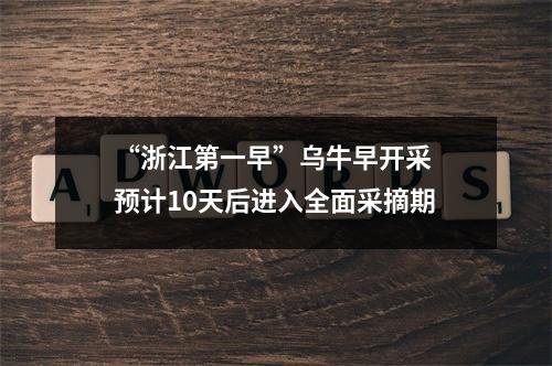 “浙江第一早”乌牛早开采 预计10天后进入全面采摘期