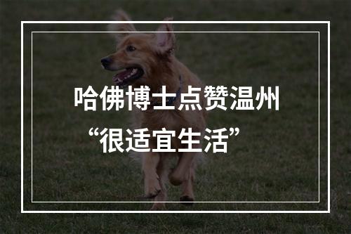 哈佛博士点赞温州“很适宜生活”
