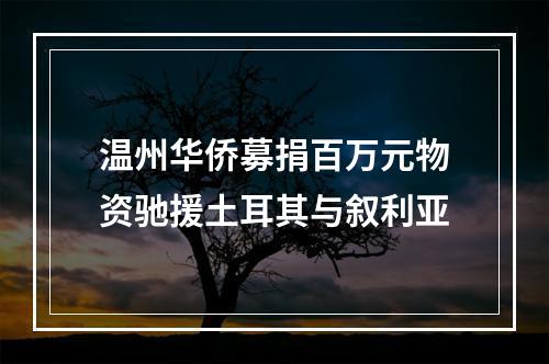 温州华侨募捐百万元物资驰援土耳其与叙利亚