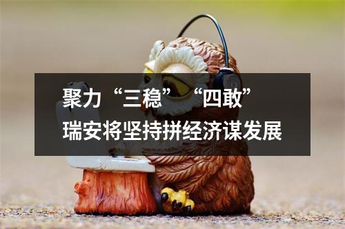 聚力“三稳”“四敢” 瑞安将坚持拼经济谋发展