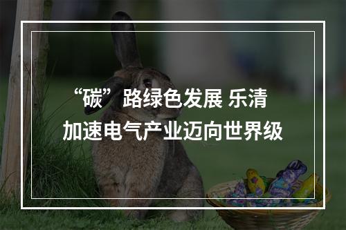 “碳”路绿色发展 乐清加速电气产业迈向世界级