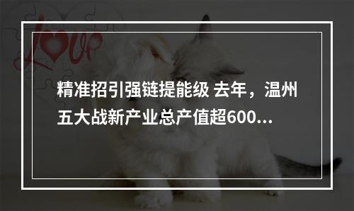 精准招引强链提能级 去年，温州五大战新产业总产值超6000亿元