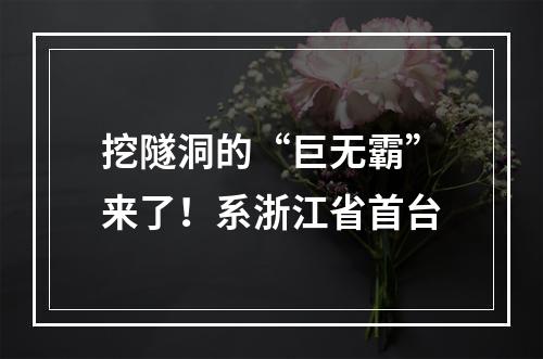 挖隧洞的“巨无霸”来了！系浙江省首台