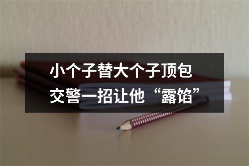 小个子替大个子顶包 交警一招让他“露馅”