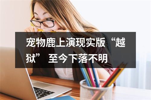 宠物鹿上演现实版“越狱” 至今下落不明