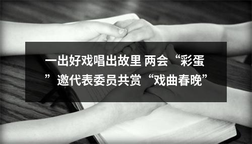一出好戏唱出故里 两会“彩蛋”邀代表委员共赏“戏曲春晚”