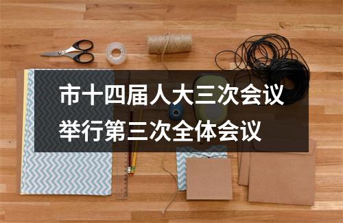 市十四届人大三次会议举行第三次全体会议