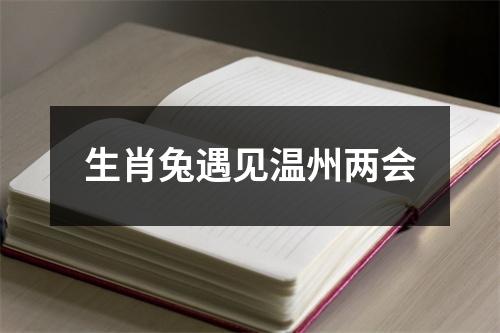 生肖兔遇见温州两会