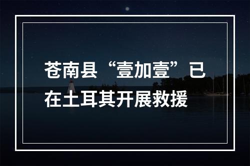苍南县“壹加壹”已在土耳其开展救援