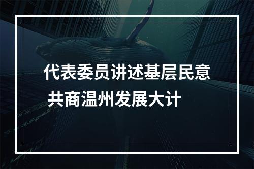 代表委员讲述基层民意 共商温州发展大计