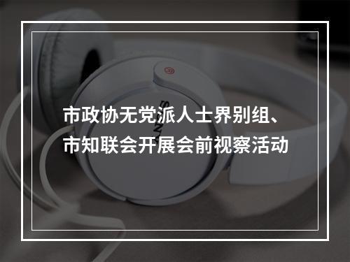 市政协无党派人士界别组、市知联会开展会前视察活动