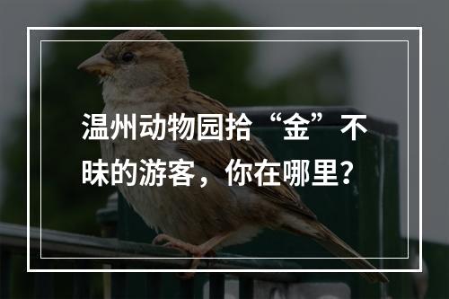 温州动物园拾“金”不昧的游客，你在哪里？