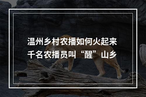 温州乡村农播如何火起来 千名农播员叫“醒”山乡