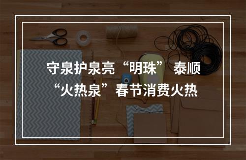 守泉护泉亮“明珠” 泰顺“火热泉”春节消费火热