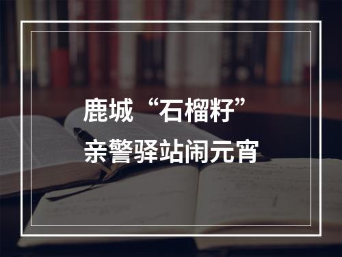 鹿城“石榴籽”亲警驿站闹元宵
