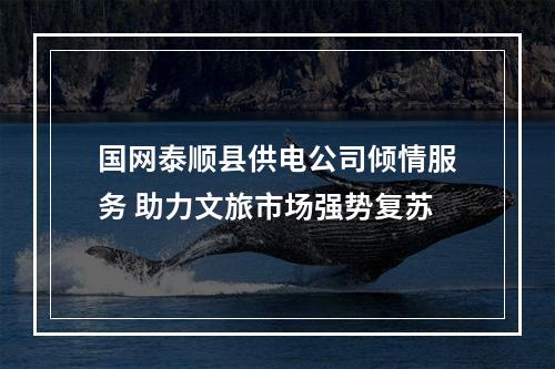 国网泰顺县供电公司倾情服务 助力文旅市场强势复苏