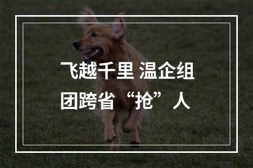 飞越千里 温企组团跨省“抢”人