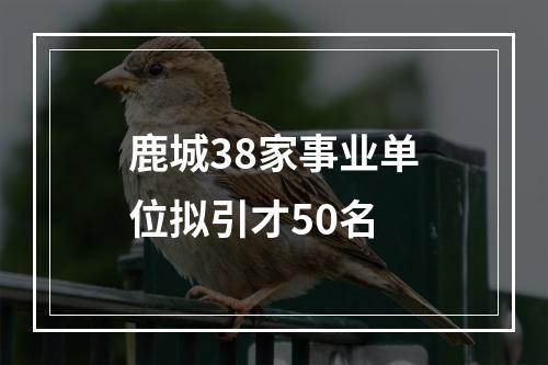 鹿城38家事业单位拟引才50名