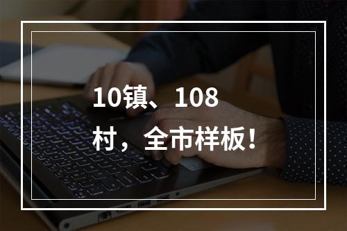10镇、108村，全市样板！