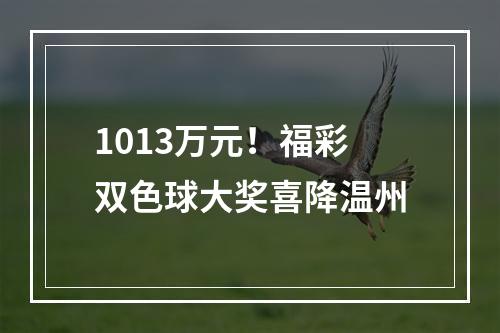 1013万元！福彩双色球大奖喜降温州