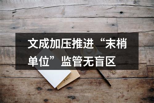 文成加压推进“末梢单位”监管无盲区