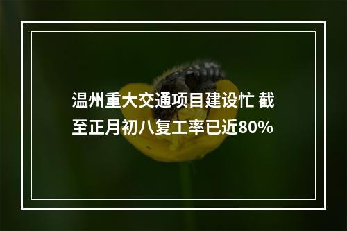 温州重大交通项目建设忙 截至正月初八复工率已近80%