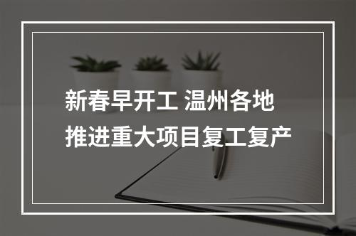 新春早开工 温州各地推进重大项目复工复产