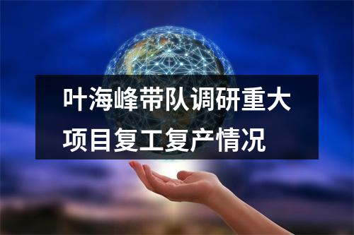 叶海峰带队调研重大项目复工复产情况