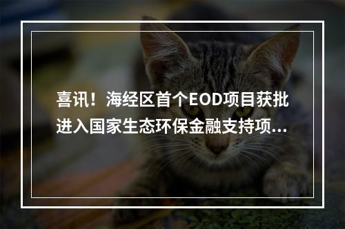 喜讯！海经区首个EOD项目获批进入国家生态环保金融支持项目库