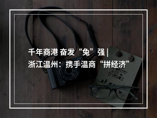 千年商港 奋发“兔”强 | 浙江温州：携手温商“拼经济”