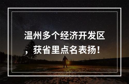 温州多个经济开发区，获省里点名表扬！