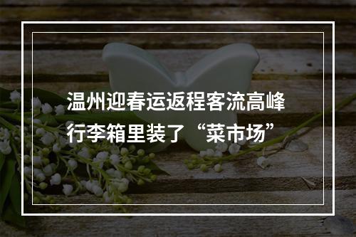 温州迎春运返程客流高峰 行李箱里装了“菜市场”