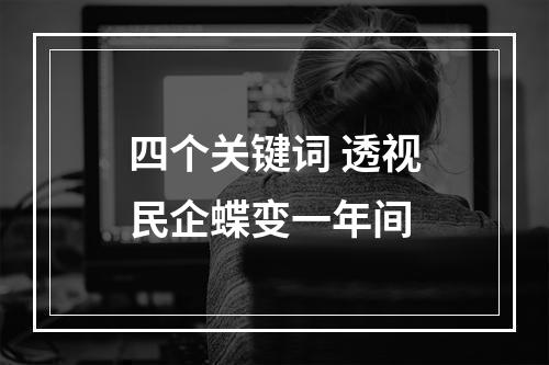 四个关键词 透视民企蝶变一年间