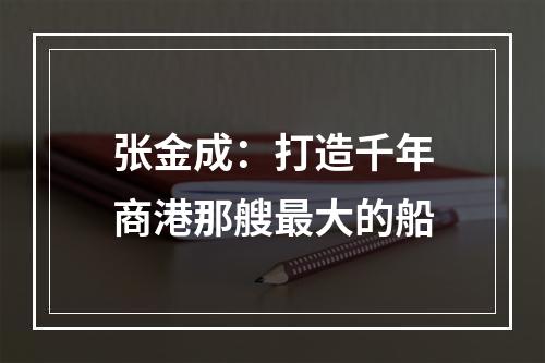 张金成：打造千年商港那艘最大的船