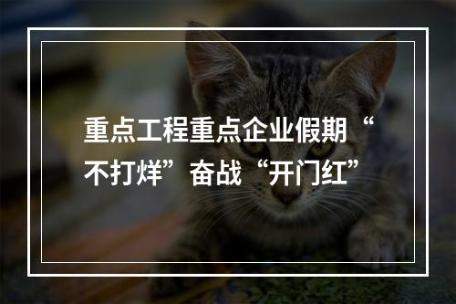 重点工程重点企业假期“不打烊”奋战“开门红”