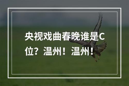 央视戏曲春晚谁是C位？温州！温州！