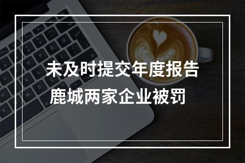 未及时提交年度报告 鹿城两家企业被罚