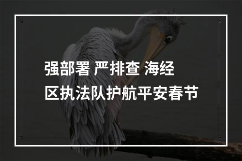 强部署 严排查 海经区执法队护航平安春节