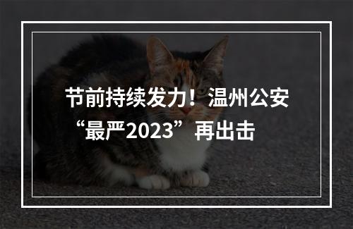 节前持续发力！温州公安“最严2023”再出击