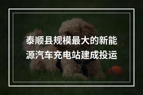 泰顺县规模最大的新能源汽车充电站建成投运