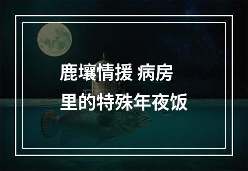 鹿壤情援 病房里的特殊年夜饭