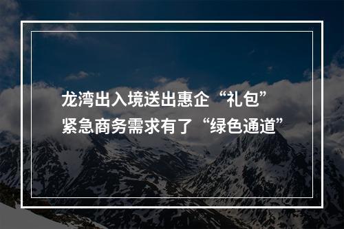 龙湾出入境送出惠企“礼包” 紧急商务需求有了“绿色通道”