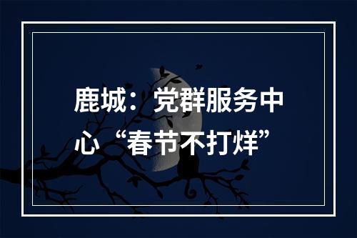 鹿城：党群服务中心“春节不打烊”