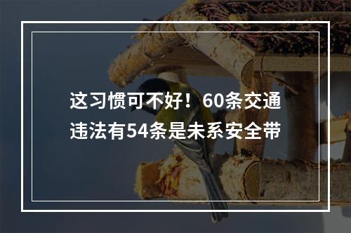 这习惯可不好！60条交通违法有54条是未系安全带