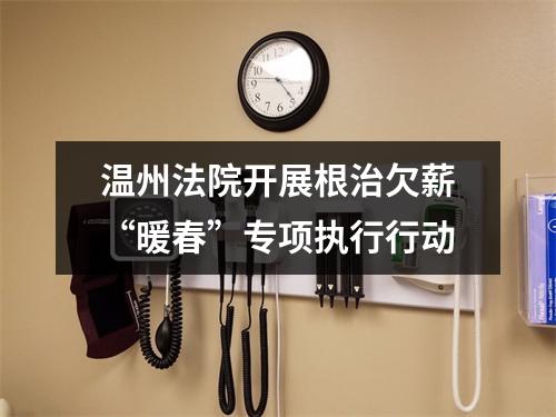 温州法院开展根治欠薪“暖春”专项执行行动