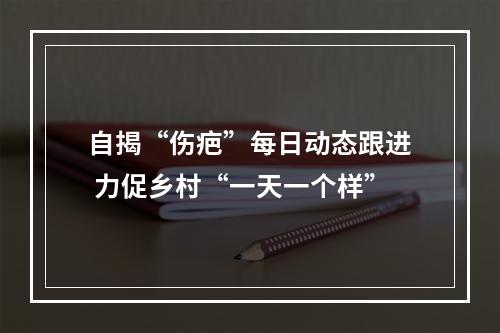 自揭“伤疤”每日动态跟进 力促乡村“一天一个样”
