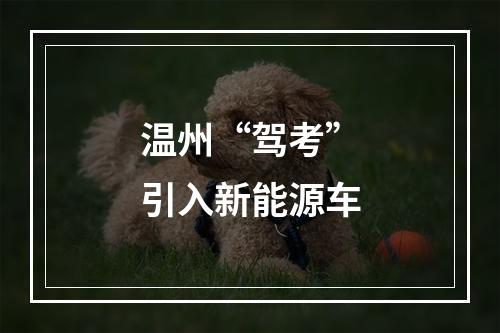 温州“驾考”引入新能源车